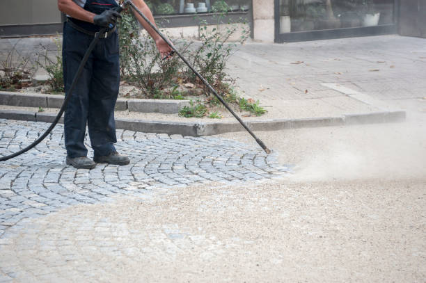 Best Graffiti Removal  in Lenwood, CA